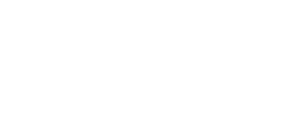 Visionary Club